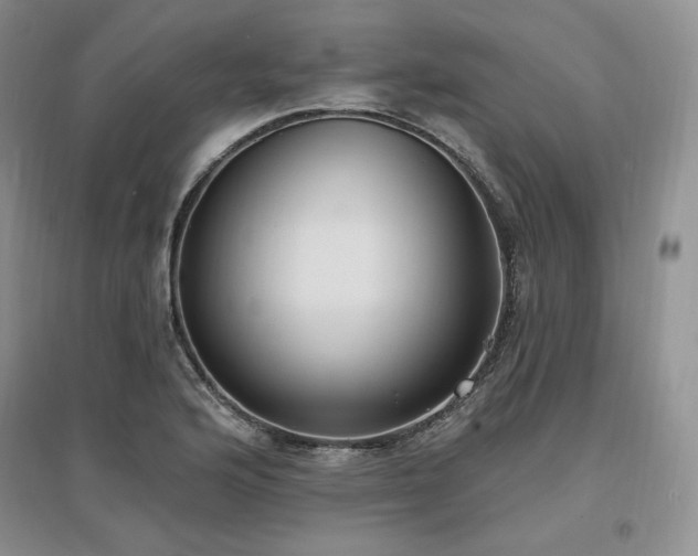 X0000097511176200802221500