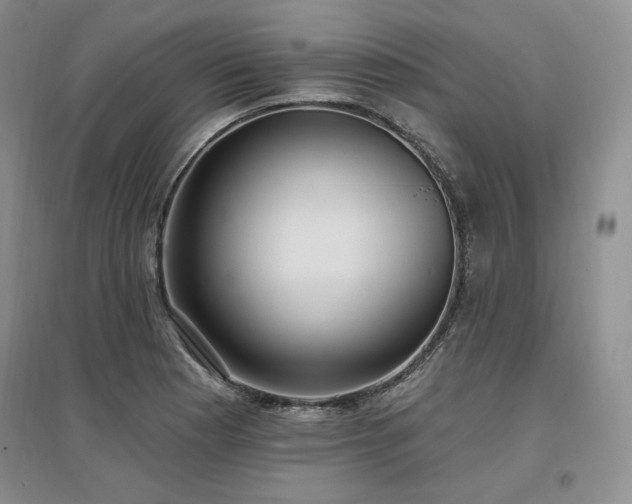 X0000097511177200802221500