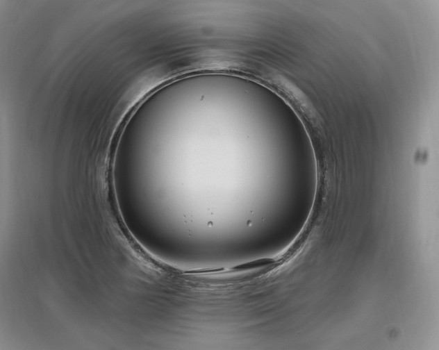 X0000097511178200802221500