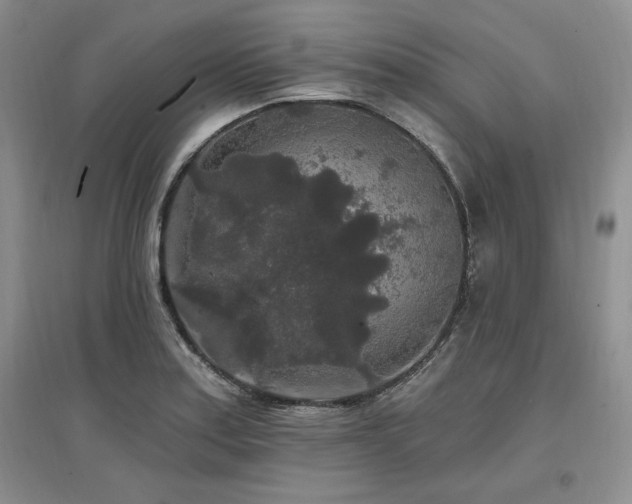 X0000097511179200802221500