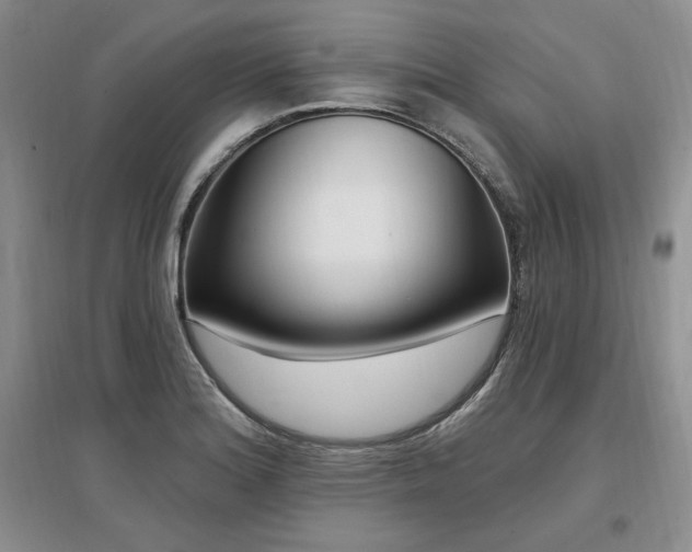 X0000097511180200802221500