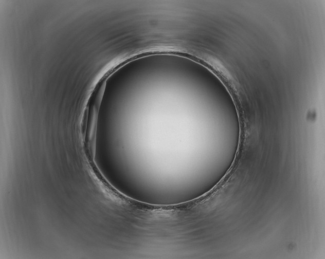 X0000097511181200802221500