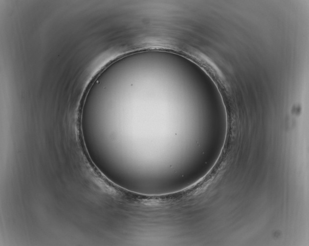 X0000097511182200802221500