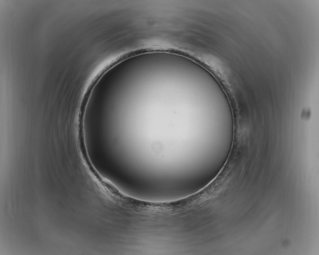 X0000097511183200802221500