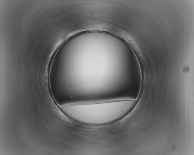 X0000097511184200802221500