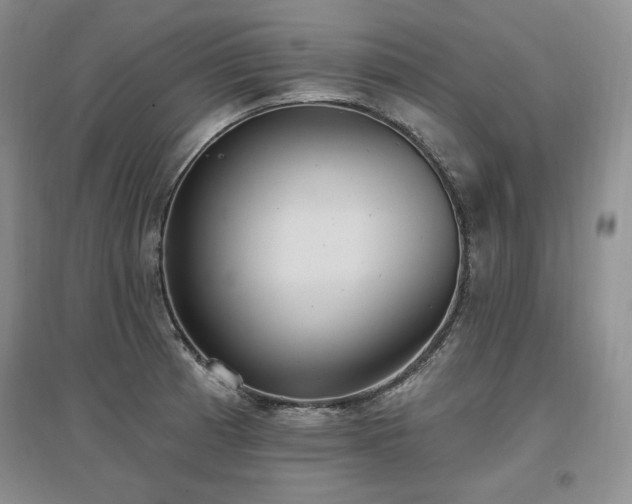 X0000097511185200802221500