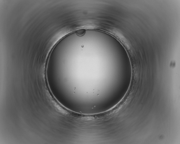 X0000097511186200802221500