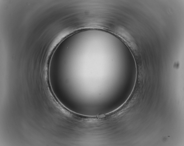 X0000097511188200802221500