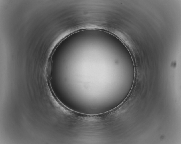 X0000097511189200802221500