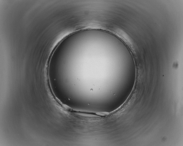 X0000097511190200802221500