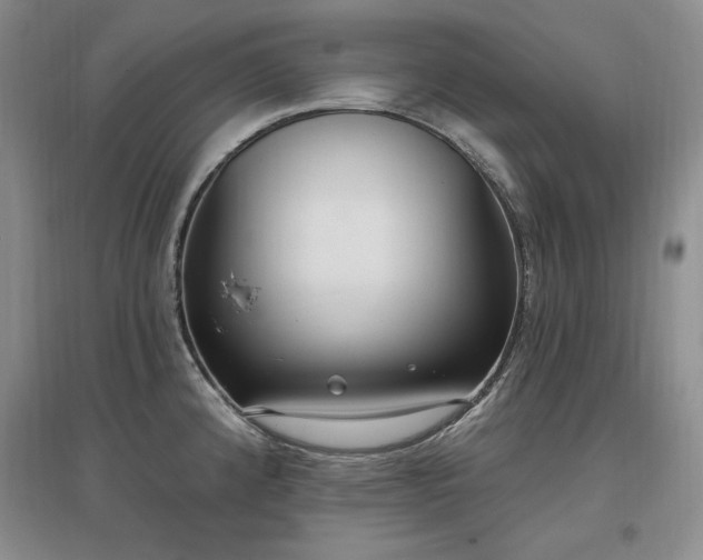 X0000097511192200802221500