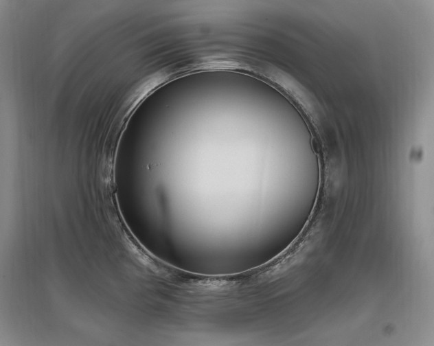 X0000097511193200802221500