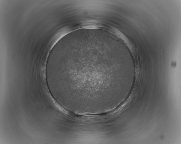 X0000097511194200802221500