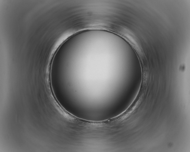 X0000097511196200802221500
