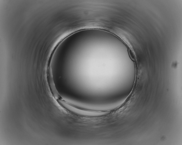 X0000097511197200802221500