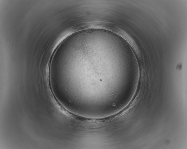 X0000097511198200802221500