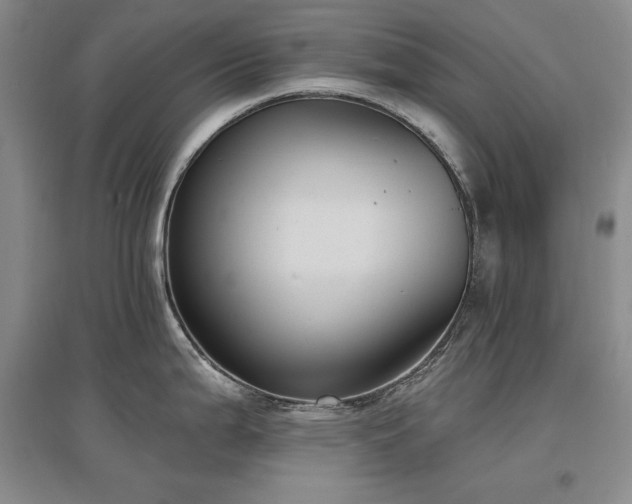 X0000097511199200802221500