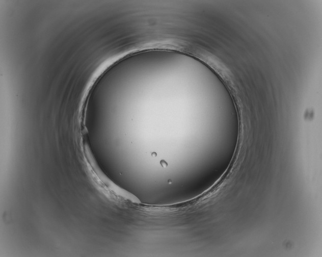 X0000097511200200802221500