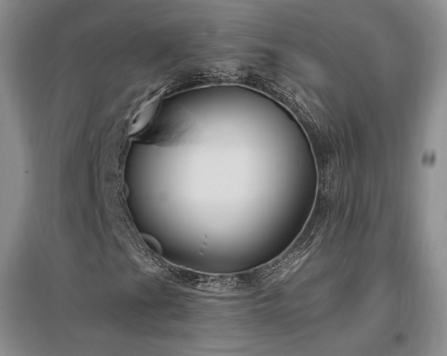 X0000097511201200802221459
