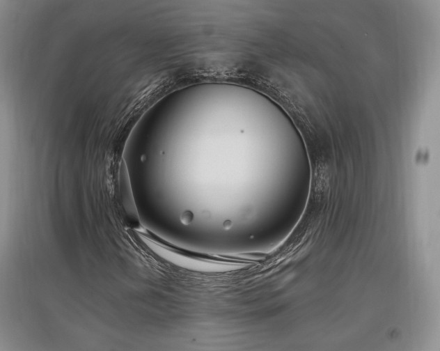 X0000097511202200802221459