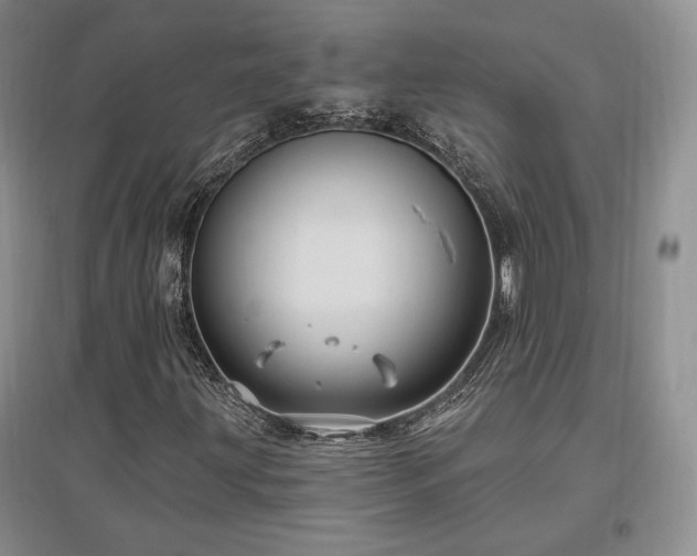 X0000097511203200802221459