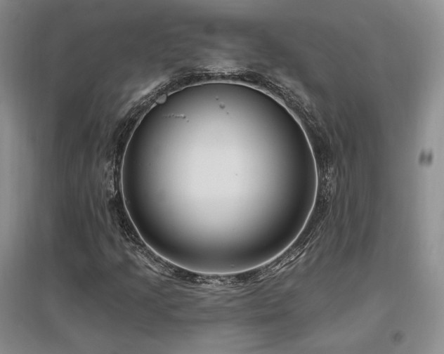 X0000097511205200802221459