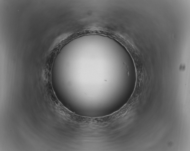 X0000097511207200802221459