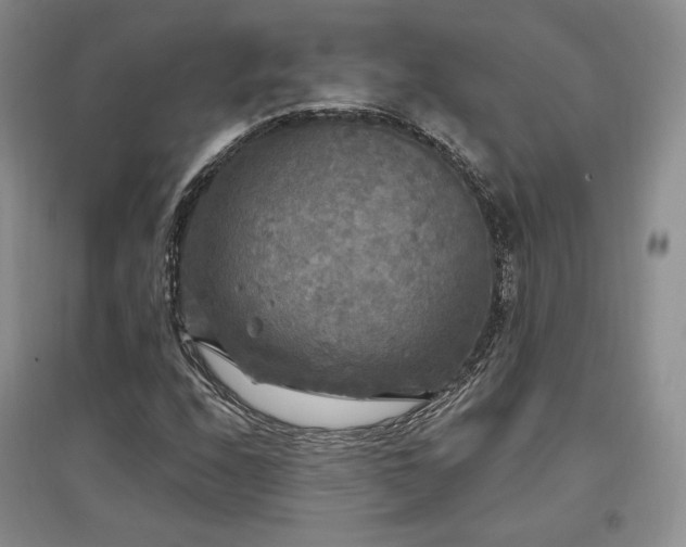 X0000097511208200802221459
