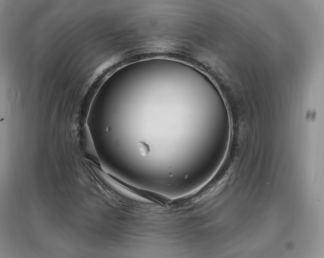 X0000097511210200802221459