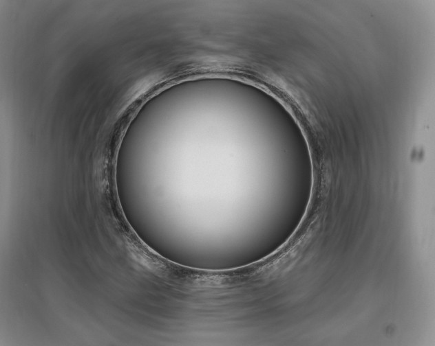 X0000097511211200802221459