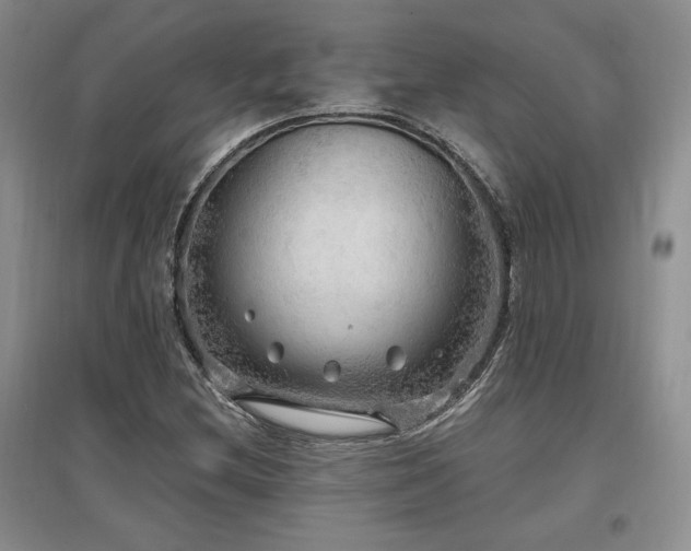 X0000097511212200802221459