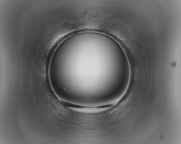 X0000097511214200802221459
