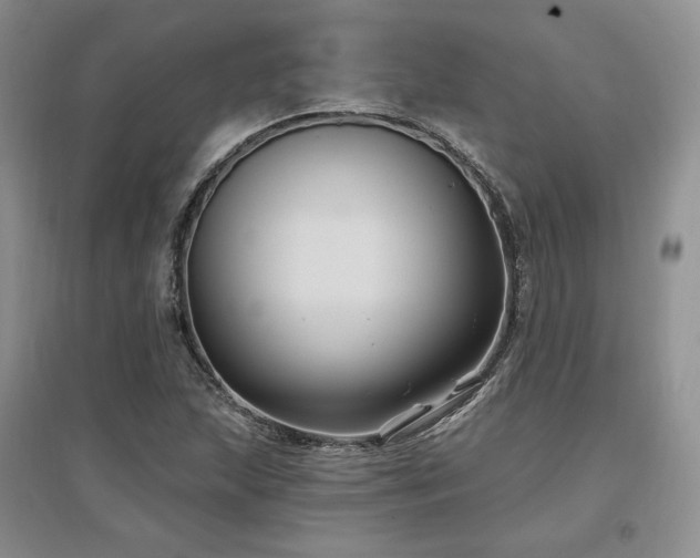 X0000097511215200802221459