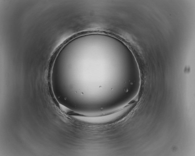 X0000097511216200802221459