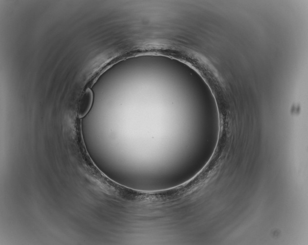 X0000097511217200802221459