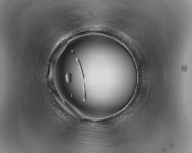 X0000097511218200802221459