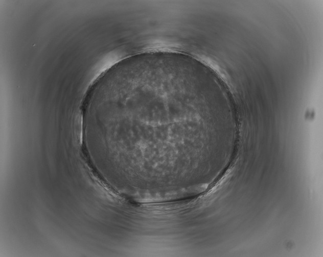 X0000097511219200802221459