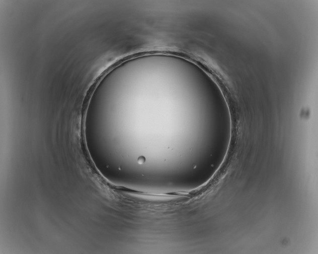 X0000097511220200802221459