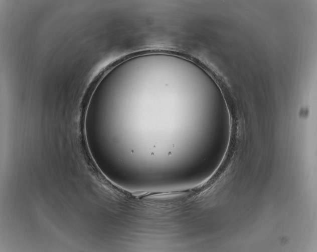 X0000097511222200802221459