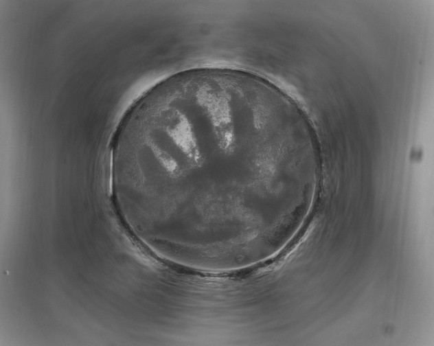X0000097511223200802221459