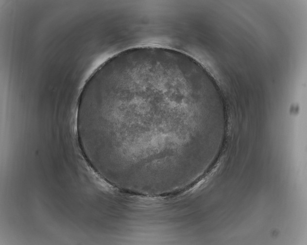 X0000097511224200802221459