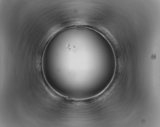 X0000097511225200802221459