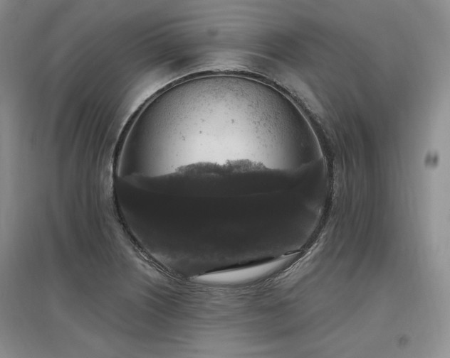 X0000097511226200802221459