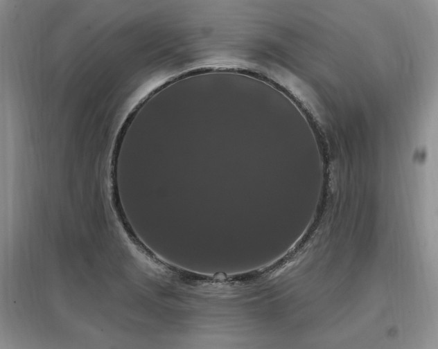 X0000097511229200802221459