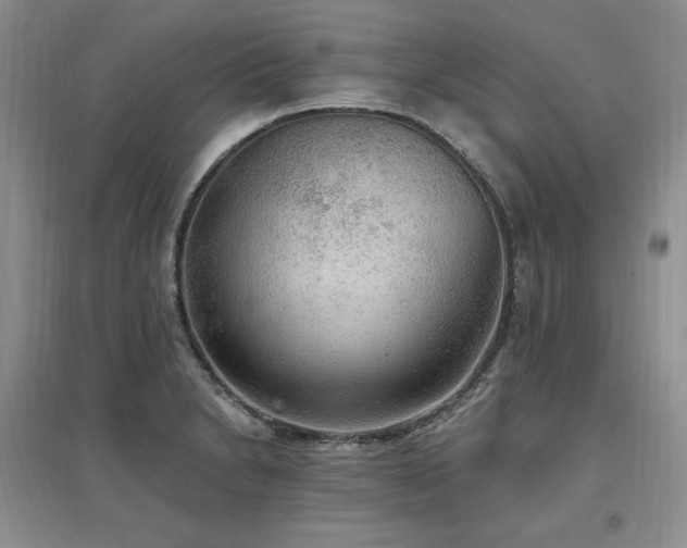 X0000097511230200802221459