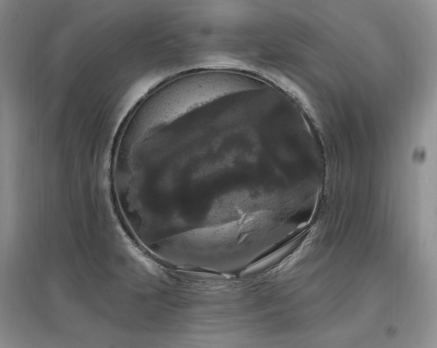 X0000097511231200802221459