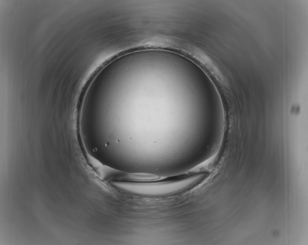 X0000097511232200802221459