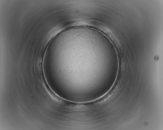 X0000097511233200802221459