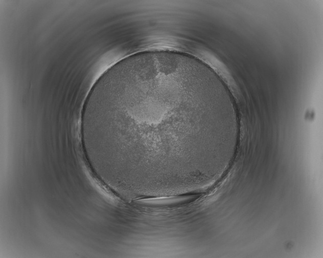 X0000097511234200802221459