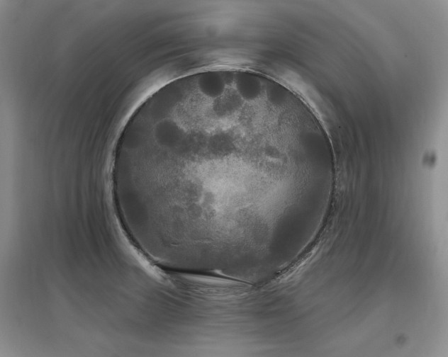 X0000097511235200802221459